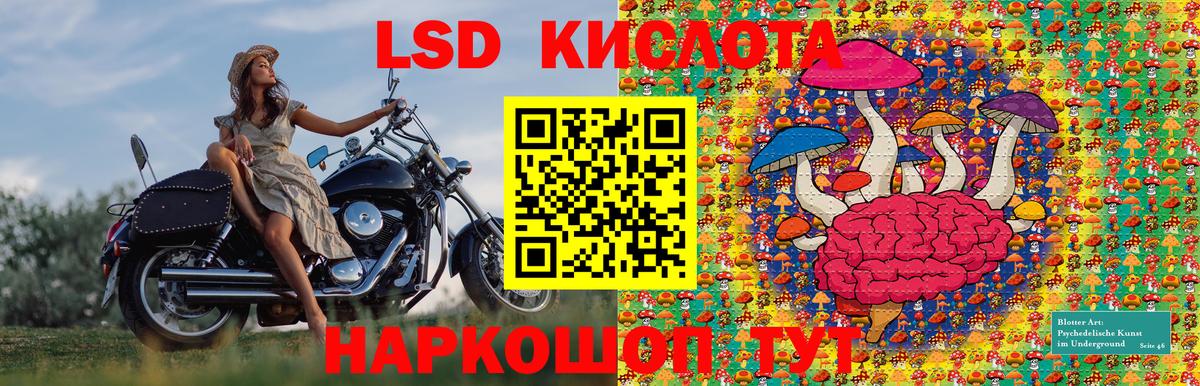 Марки N-bome 1500мкг Электросталь