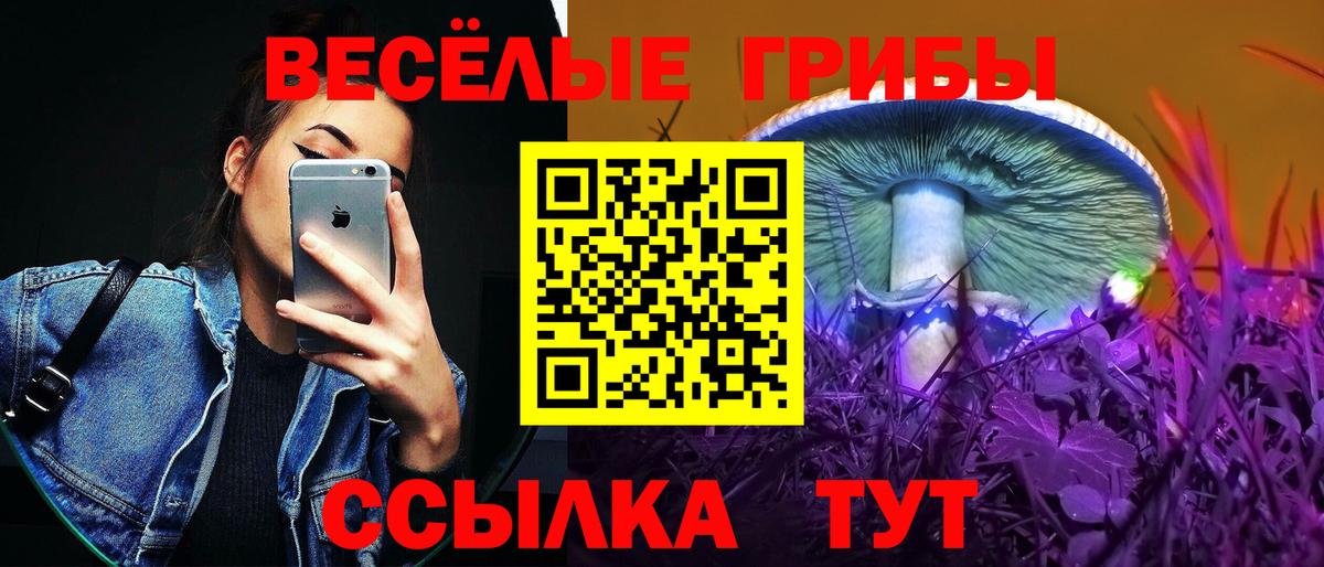 Псилоцибиновые грибы ЛСД  Галлюциногенные грибы мицелий  Электросталь  Вход с VPN 