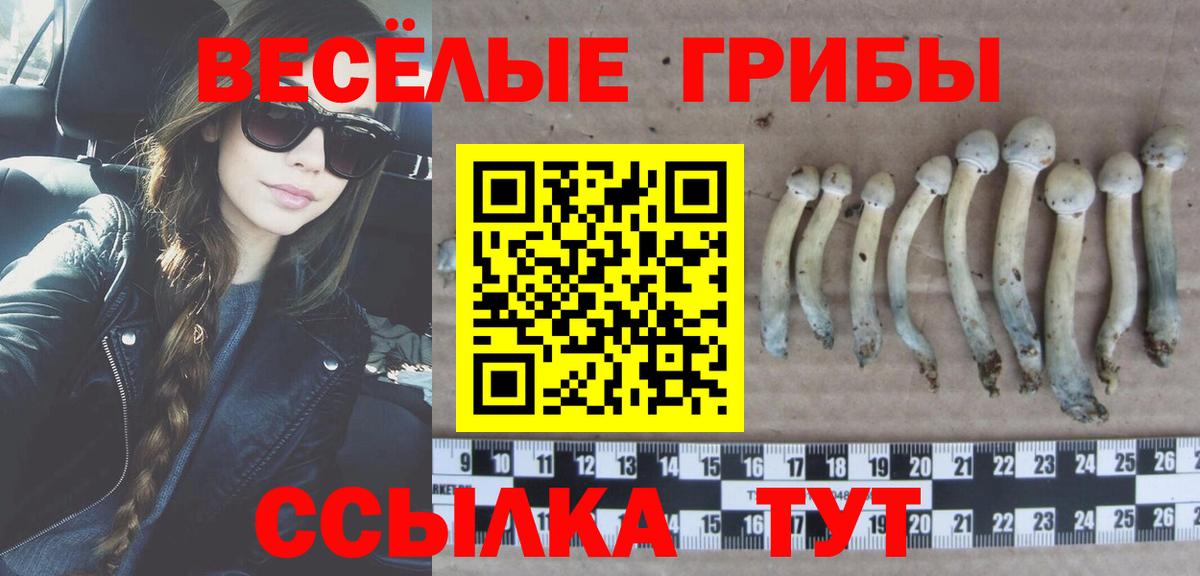 Псилоцибиновые грибы GOLDEN TEACHER Электросталь