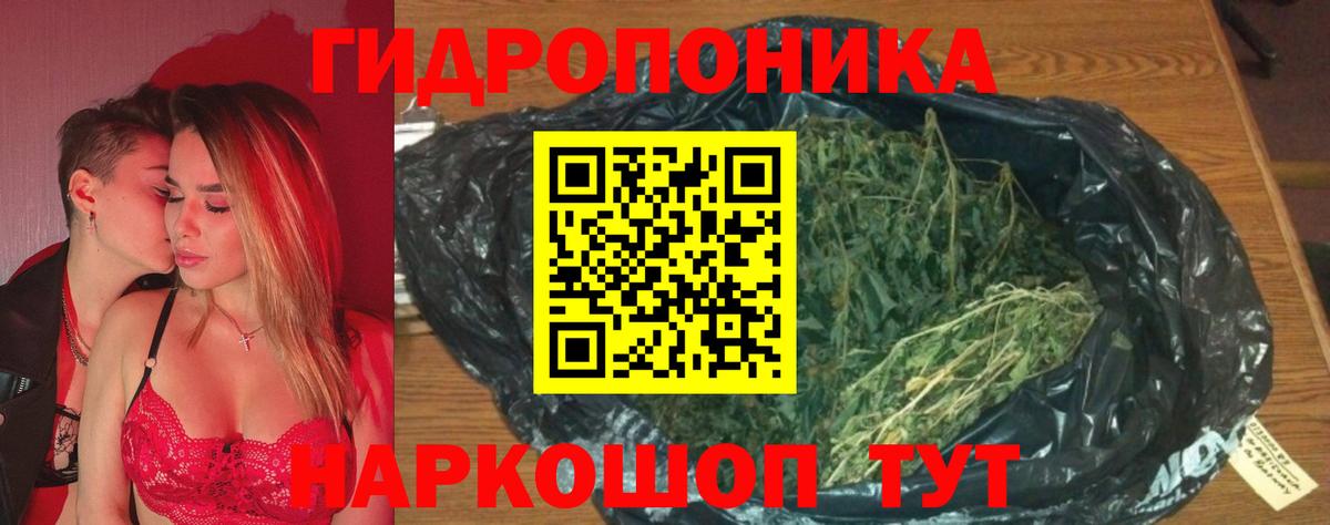 Шишки марихуана планчик Электросталь